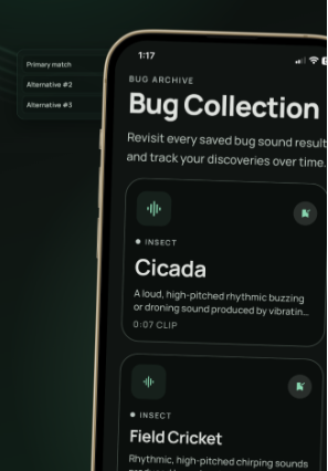 Buzzik collection archive screen with saved bug sound discoveries